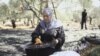 Produksi Zaitun Palestina Diperkirakan Anjlok karena Intimidasi Pemukim Israel