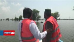 COP Zirvesi ilk kez iklim değişikliğiyle ölümcül hastalıkların artışındaki bağlantıyı ele aldı
