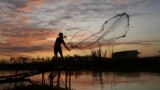 A local villager casts his net into a canal in Tuol village outside Phnom Penh, Cambodia, Nov. 21, 2023.