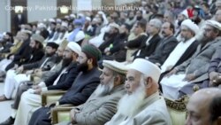 د پاکستان ټول ديني عالمان په دې نظر دي چې پوليو وېکسين د ماشومانو لپاره ګټور دي