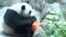 US China Pandas thumbnail
