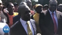 UChamisa Ukhuluma Ngokumele Kwenzakale eZimbabwe