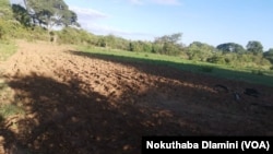 Nkayi Drought