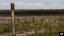 FILE - A water meter stands in a dry wetland in Donana natural park, southwest Spain, on Oct. 19, 2022. 