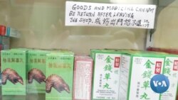 Africa, China Illegal Pangolin Scales Trade Spikes