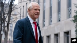 FILE - Former Trump White House official Peter Navarro arrives at U.S. Federal Courthouse in Washington, Jan. 25, 2024.