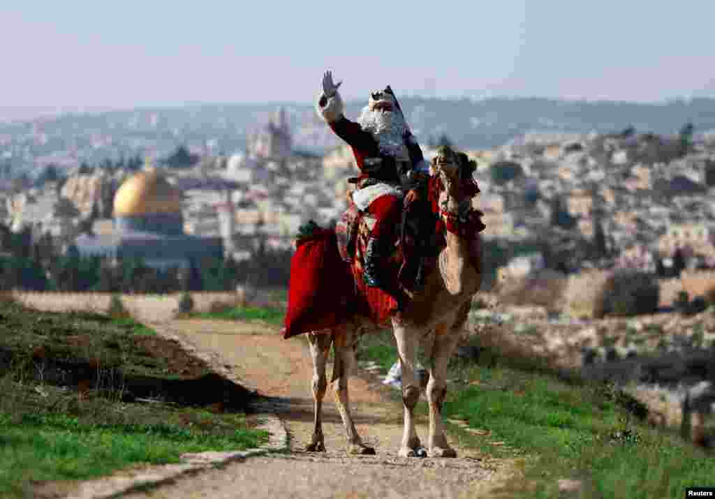 Issa Kassissieh, dressed as Santa Claus, sits astride a camel as he visits an olive grove overlooking the Dome of the Rock on Al-Aqsa compound, also known to Jews as the Temple Mount, in Jerusalem.