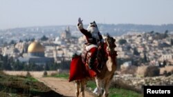 Issa Kassissieh, dressed as Santa Claus, sits astride a camel as he visits an olive grove overlooking the Dome of the Rock on Al-Aqsa compound, also known to Jews as the Temple Mount, in Jerusalem.