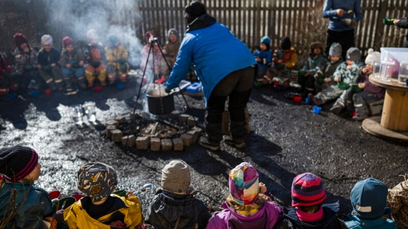 Murid-Murid Prasekolah Skandinavia Nikmati Kelas di Tengah Hutan