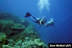 Two divers swim above corals on Moore Reef off the coast of Queensland in eastern Australia on Nov. 13, 2022. (AP Photo/Sam McNeil)