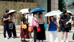 Sejumlah warga memakai payung untuk melindungi mereka dari sengatan matahari saat berjalan di Tokyo, pada 8 Juli 2024. (Foto: AP/Eugene Hoshiko)