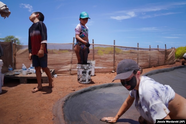 From left, siblings Kekanemekala, Pi'ilani and Anali'a Taniguchi Butler use wet clay to make salt bedson July 12, 2023, in Hanapepe, Hawai. (AP Photo/Jessie Wardarski)