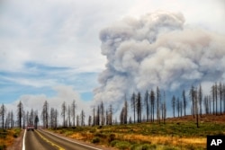 Smoke from the Park Fire billows above trees scorched in the 2021 Dixie Fire, as seen from Plumas County, Calif., Aug. 7, 2024.