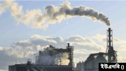 বাংলাদেশের বিদ্যুৎ চাহিদা এখন উৎপাদন ক্ষমতার অর্ধেক।