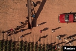 A drone view shows a crop field near the Las Lajas dam affected by the severe drought, in Buenaventura, Chihuahua state, Mexico, Aug. 23, 2024.