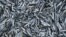 FILE - Sardines are seen at a fish market, July 26, 2003.