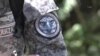 El águila arpía: Biólogos y militares colombianos trabajan para salvarla de la extinción