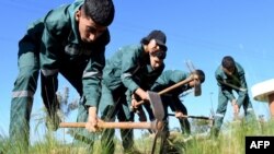 Youths attend a practical course at Bouregreg Med-O-Med, Morocco's first gardening school, in the coastal city of Sale, on November 15, 2023.