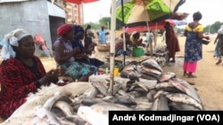 Les vendeuses de poisson au bord du goudron, à N’Djamena le 10 septembre 2019. (VOA/André Kodmadjingar).