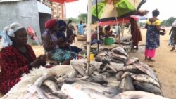 Les vendeuses de poisson préfèrent le goudron aux marchés couverts