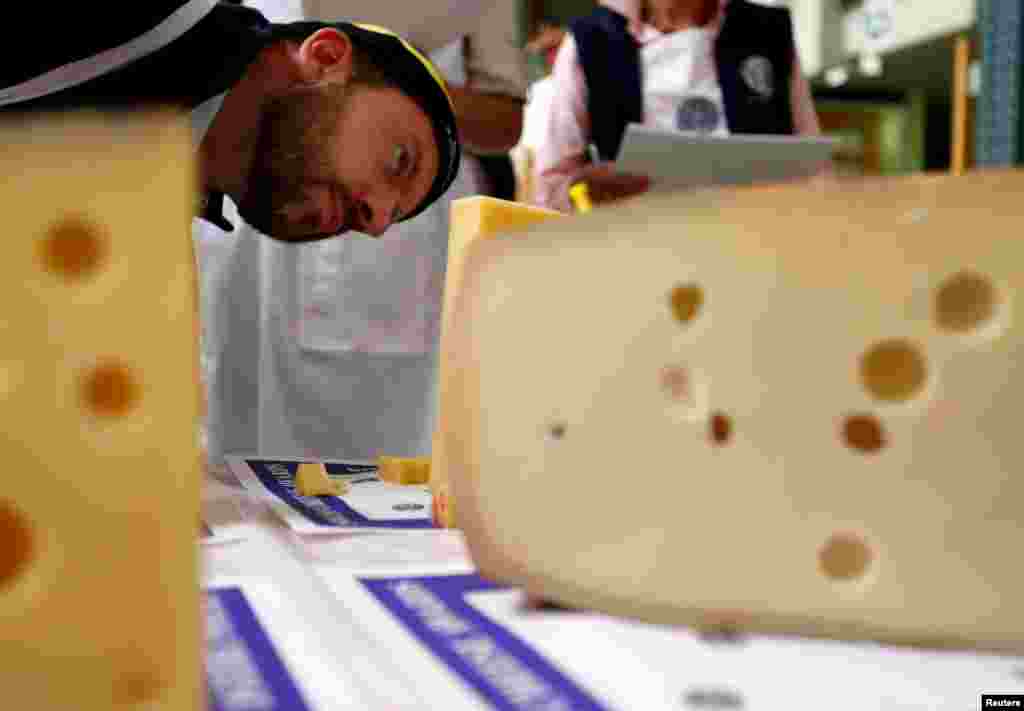 A judge inspects a piece of Emmentaler cheese during the Swiss Cheese Awards competition in Le Sentier, Switzerland. &nbsp;