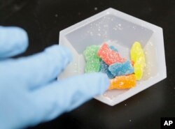 Edible marijuana samples are set aside for evaluation at a cannabis testing laboratory in Santa Ana, Calif., on Wednesday, Aug. 22, 2018.