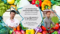 Hello VOA៖​ វិធីសាស្ត្រ​សម្គាល់​បន្លែ​សុវត្ថិភាព​និង​បច្ចេកទេស​កសិកម្ម​ថ្មី​ជា​គន្លឹះ​ជួយ​ពង្រីក​ទីផ្សារ​​
