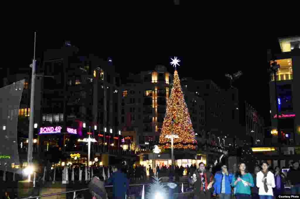 A six-story Christmas tree shines at the National Harbor in Washington, D.C. (Diaa Bekheet/VOA)