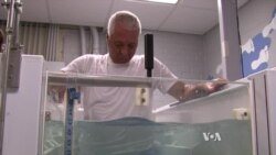 Physical Therapy in Water Helps Patients Make Small Steps
