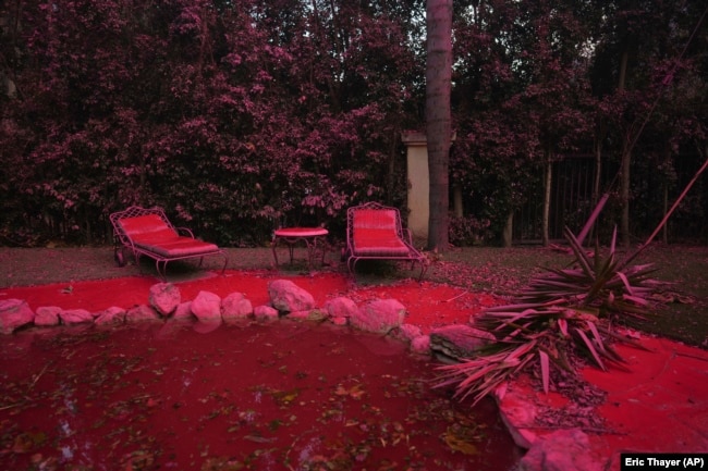 Fire retardant covers a backyard in Mandeville Canyon during the Palisades Fire, Saturday, Jan. 11, 2025, in Los Angeles