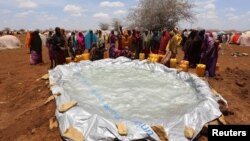 Internally displaced Somali women gather to collect water from a plastic pan after fleeing from drought stricken regions near a makeshift camp in Baidoa, west of Somalia's capital Mogadishu, March 26, 2017. 