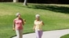 Brains Gain From Physical Activity by Older People