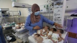 Emissão Vespertina: Hospital Shifa de Gaza evacua bebés prematuros