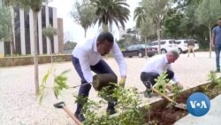 Ethiopia Plants Trees to Curb Climate Change Effects 