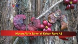 Pameran Unik di Kebun Raya AS