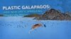 Plastic Galapagos