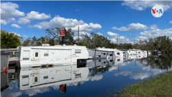 Emiten una alerta de bacteria come carne, en areas de Florida impactadas por los huracanes