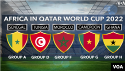Africa in Qatar World Cup 