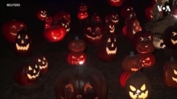 万圣节前夜即将来临 南瓜灯展示喜迎观众