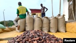 FILE: Cocoa beans are pictured next to a warehouse at the village of Atroni, near Sunyani, Ghana. Taken April 11, 2019
