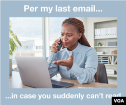 Per my last email meme