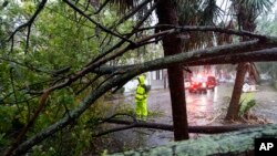 A firefighter examines a large tree across a road as the effects from Hurricane Ian are felt, Sept. 30, 2022, in Charleston, S.C.