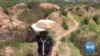Malanje: Cidadãos vendem pedras para sustento das suas famílias