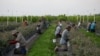 Trabajadores migrantes mexicanos recogen arándanos durante una cosecha en una granja en Lake Wales, Florida, EEUU, el 31 de marzo de 2020. 