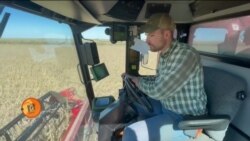 امریکی کسانوں کے لیے کھیتی باڑی مشکل کیوں؟