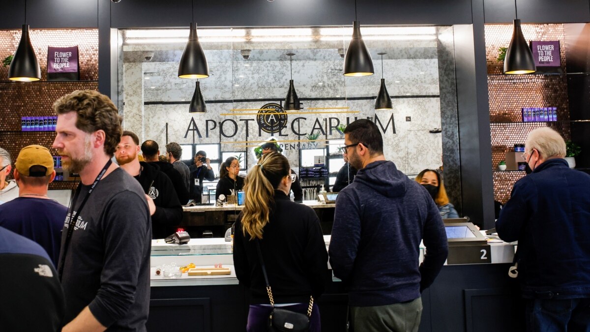 Legal Cannabis Poses a Quandary for US Companies Screening Staff for Drugs - Vimarsana News