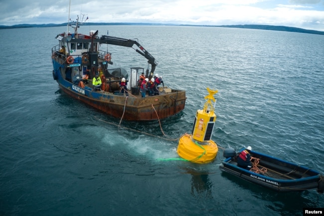 Workers place a buoy to help avoid ship collisions with whales at the 'Corcovado' gulf area in the coast of Chiloe, Chile, October 10, 2022. (Fundacion MERI/Handout via REUTERS)