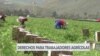 California amplía derechos sindicales de trabajadores agrícolas