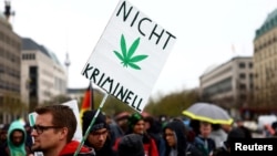 Seorang pria membawa poster berisi gambar daun ganja dan tulisan yang berbunyi "bukan tindakan kriminal" dalam aksi protes untuk menyerukan legalisasi ganja di Brandenburg Gate, Berlin, Jerman, pada 20 April 2022. (Foto: Reuters/Lisi Niesner)