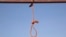 FILE - A noose is seen at a jail in Kabul, Afghanistan, Oct. 8, 2014, ahead of an execution.
